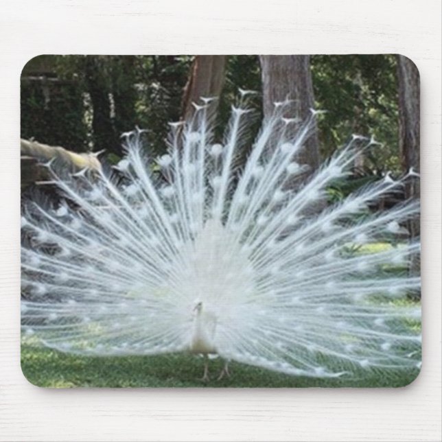 White Peacock Mousepad (Front)
