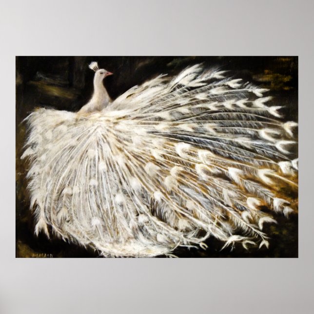 White Peacock Painting Poster (Front)