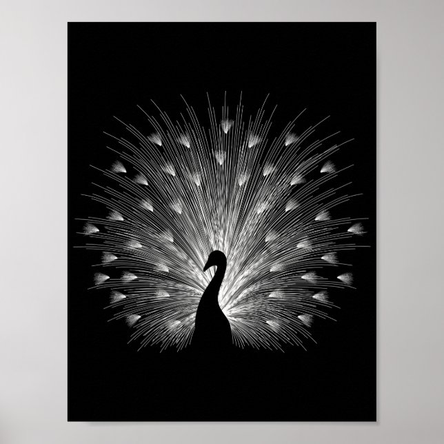 White peacock poster (Front)