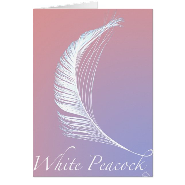 White Peacock Tail (Front)
