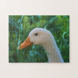 White Pekin Duck Jigsaw Puzzle