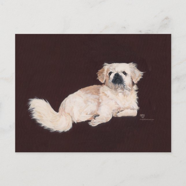White Pekingese Dog Postcard (Front)