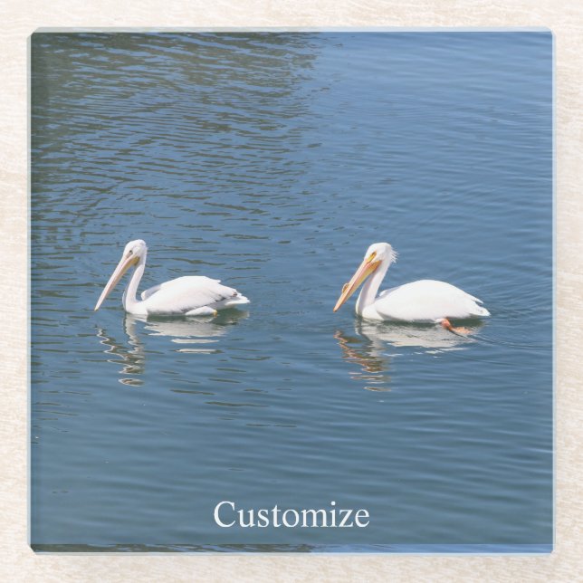 White pelican coaster Thunder_Cove (Front)