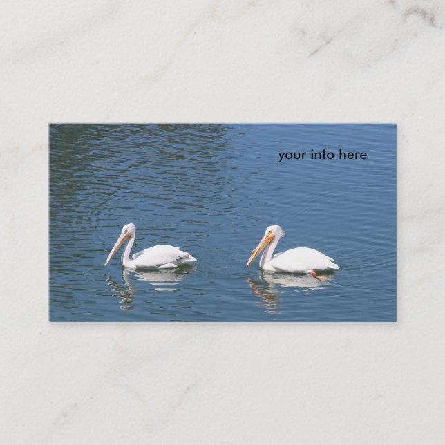 white pelicans business card (Front)