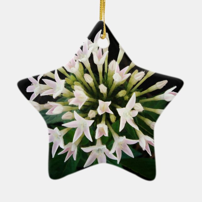 White Pentas Ceramic Tree Decoration (Back)
