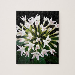White Pentas Jigsaw Puzzle