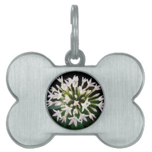 White Pentas Pet Tag
