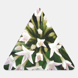 White Pentas Triangle Sticker