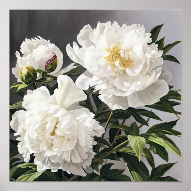 White Peonies Flower Art Print Poster (Front)