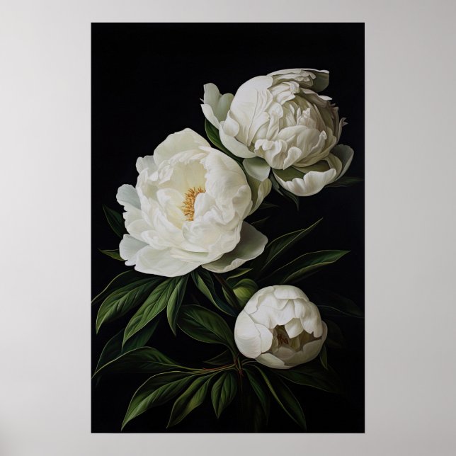 White Peonies Flower Art Print Poster (Front)