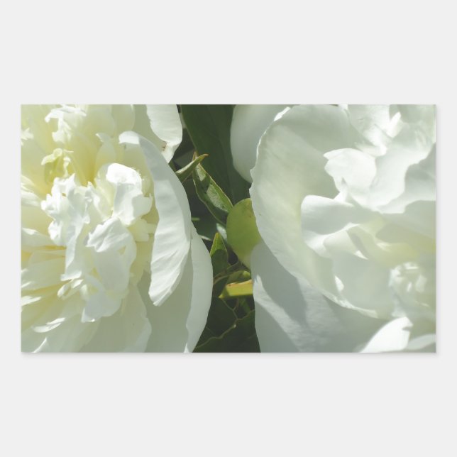White Peonies Rectangular Sticker (Front)