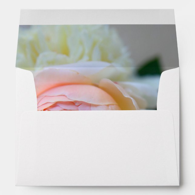 White peonies with rose envelope (Back (Bottom))