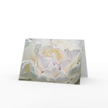 White Peony Blank Photograph Greeting Card