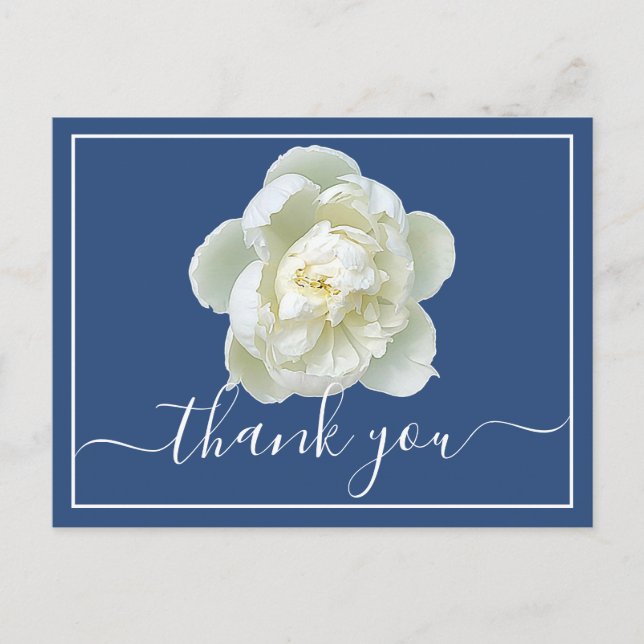 White Peony Blue Background Thank You  Postcard (Front)