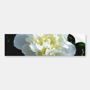 White peony bumper sticker