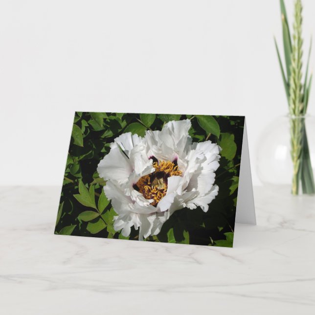 White Peony Card (Front)
