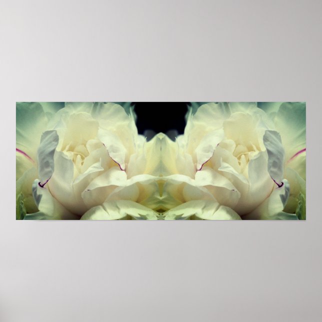White Peony Flower In Bloom Mirror Abstract Poster (Front)