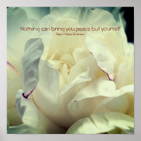 White Peony Inner Peace Inspirational 