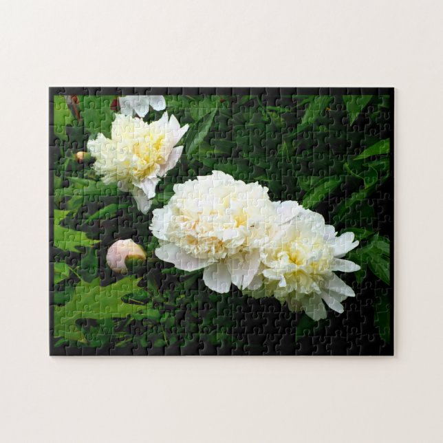 White Peony Trio Jigsaw Puzzle (Horizontal)