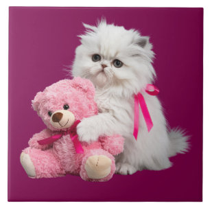 White Persian and Teddy Bear Decorative Tile