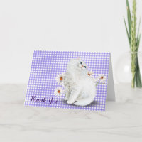 White Persian Cat and Daisy