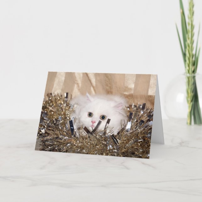 White Persian cat Christmas Holiday Card (Front)