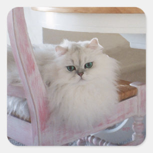 White Persian Cat on a Pink Chair Square Sticker