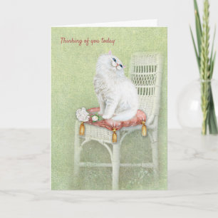 white Persian cat on the thinking of you Card
