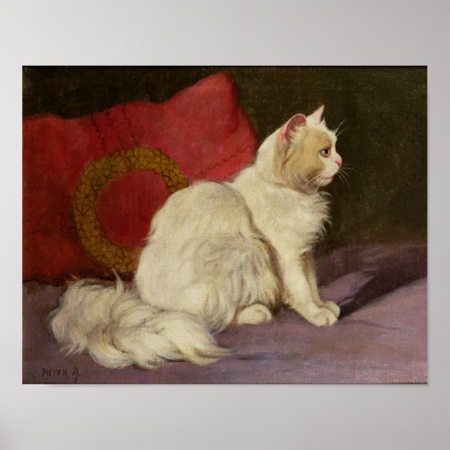 White Persian Cat Poster (Front)