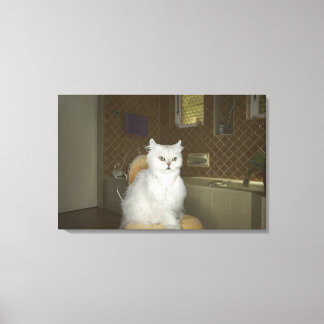 White persian cat sitting on chair in bathroom canvas print