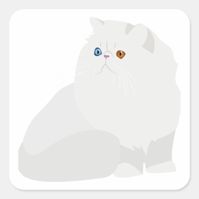 white persian cat square sticker (Front)