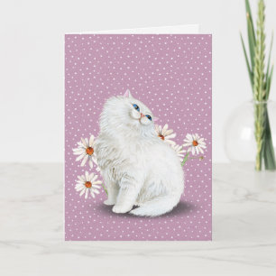 white Persian cat with daisies Card