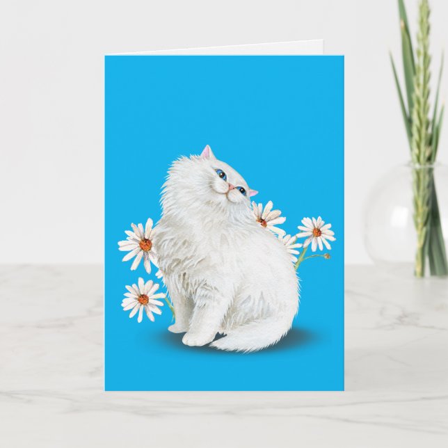white Persian cat with daisies Card (Front)