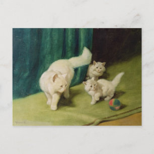 White Persian Cat with Two Kittens Postcard