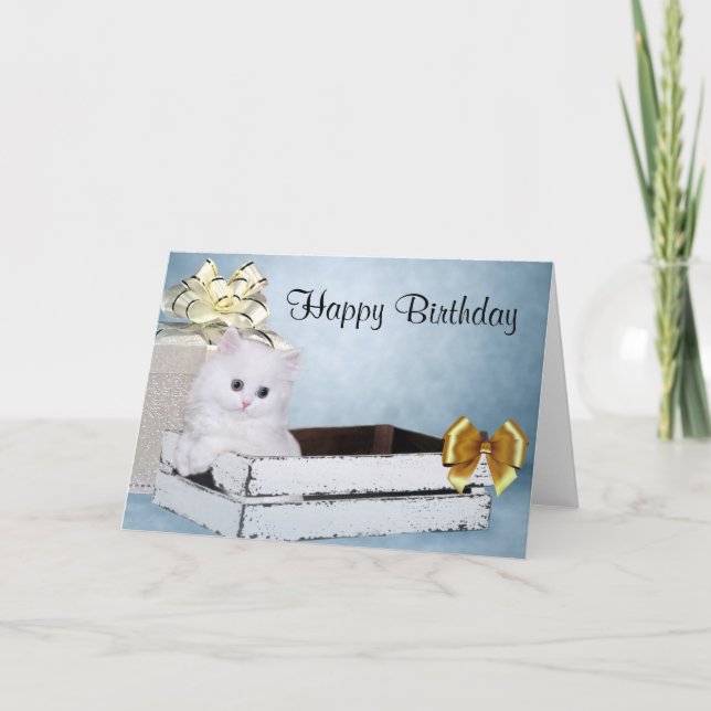 White Persian kitten Birthday Card (Front)
