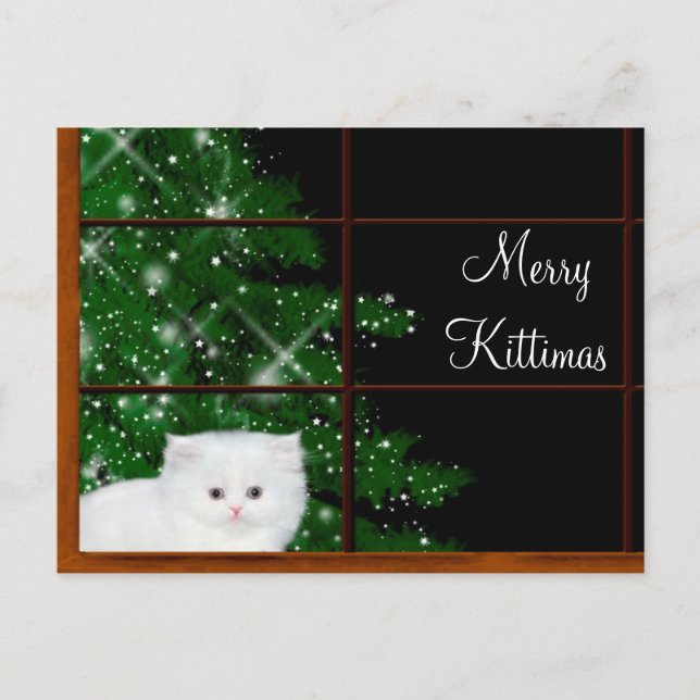 White persian kitten Christmas Holiday Postcard (Front)