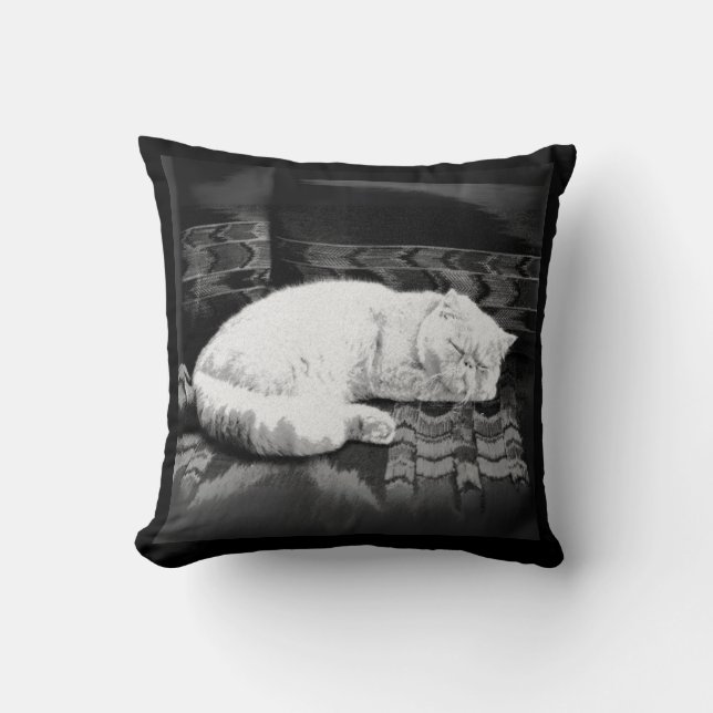 White Persian Sleeping Cat Cushion (Front)