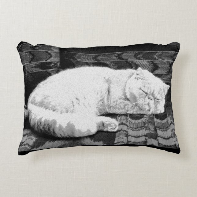 White Persian Sleeping Cat Decorative Cushion (Front)