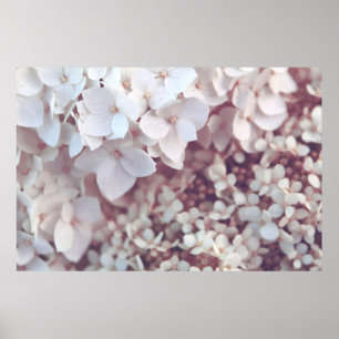 WHITE PETALED FLOWERS POSTER