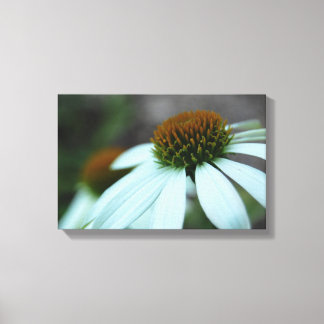 White Petals, Flower (canvas print) Canvas Print
