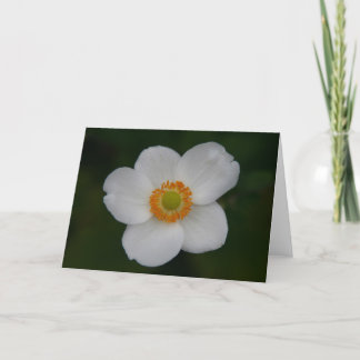 white petals thank you card