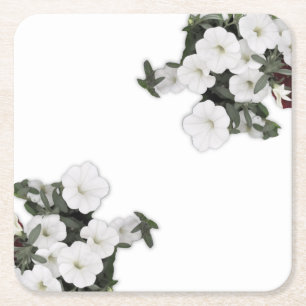 White Petunia Coasters
