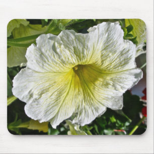 White Petunia Series Coordinating Items Mouse Pad
