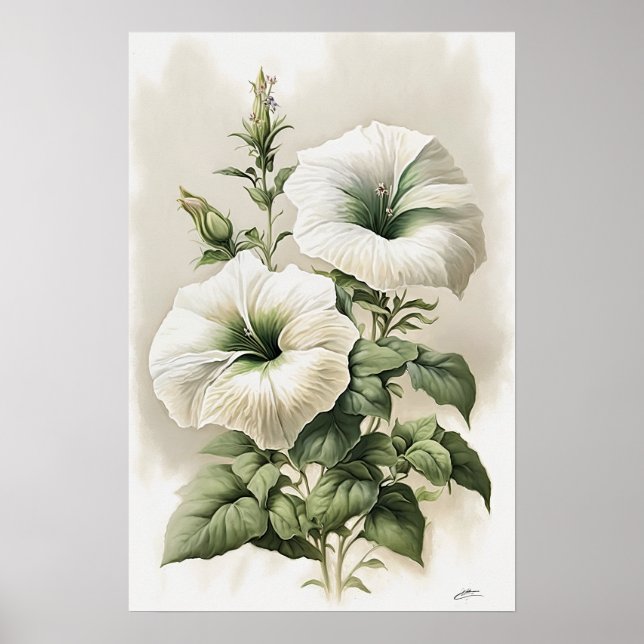 White Petunias Flower Art Print Poster (Front)