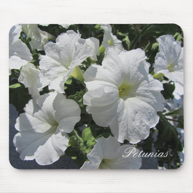White Petunias Mouse Pad (Front)