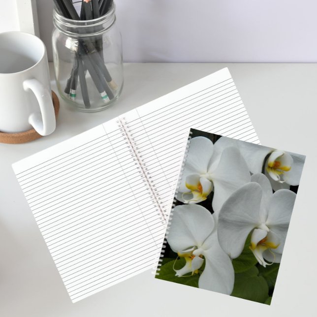 White Phalaenopsis Orchids Floral Notebook (In Situ)