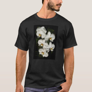 White phalaenopsis orchids T-Shirt