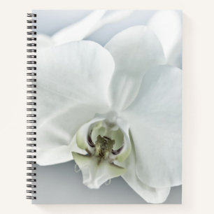 White Phaleonopsis Orchid Notebook