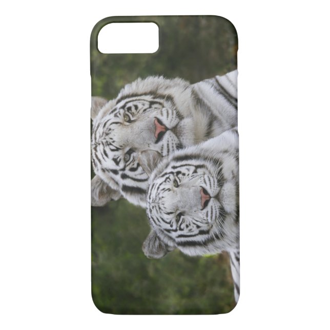 White phase, Bengal Tiger, Tigris Case-Mate iPhone Case (Back)