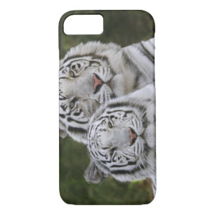 White phase, Bengal Tiger, Tigris Case-Mate iPhone Case